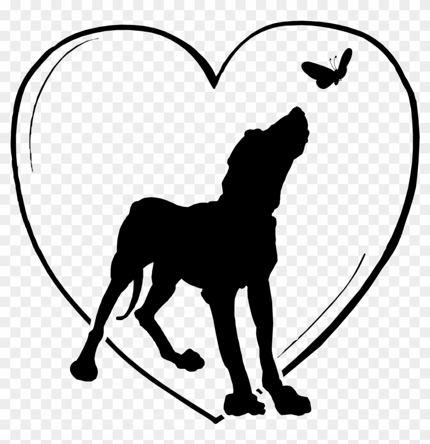 I Used To Watch And Laugh At Sam For Chasing And Jumping - I Used To Watch And Laugh At Sam For Chasing And Jumping #1581691