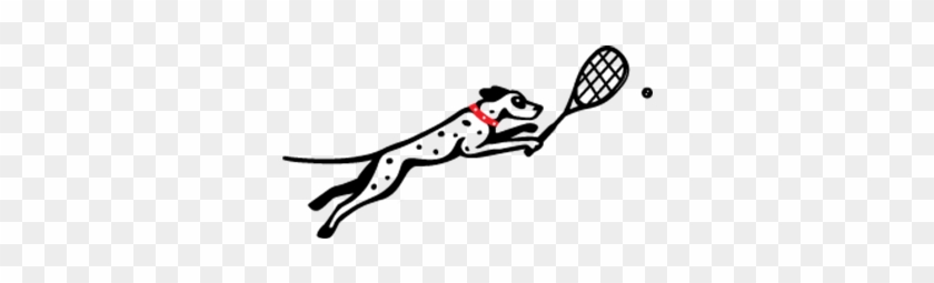 Squash On Fire - Squash On Fire #1581763