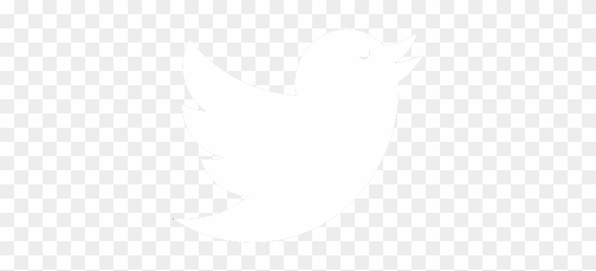 Visitor Counter - Visitor Counter #1581974