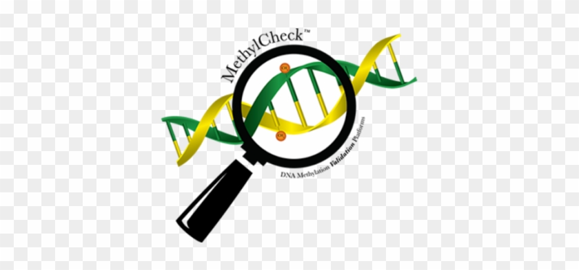 Benefits Of Using The Methylcheck™ Service Methylcheck - Benefits Of Using The Methylcheck™ Service Methylcheck #1582115