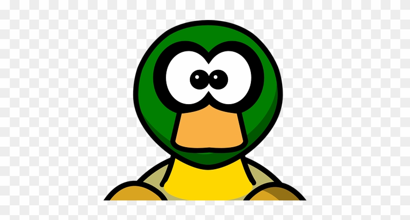 Quiz On Clever Duck By Dick King Smith By Louise Anderson - Quiz On Clever Duck By Dick King Smith By Louise Anderson #1582162