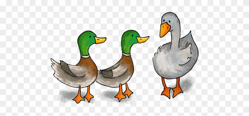 Duck, Duck, Goose - Duck, Duck, Goose #1582166