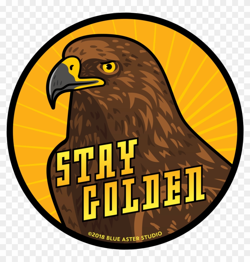 Circular Badge Featuring An Illustrated Golden Eagle - Circular Badge Featuring An Illustrated Golden Eagle #1582623 Circular Badge Featuring An Illustrated Golden Eagle - Circular Badge Featuring An Illustrated Golden Eagle #1582623