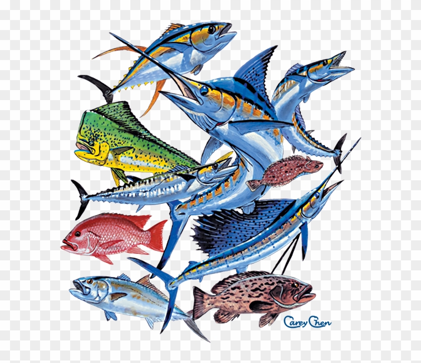 Saltwater Fish Collage - Saltwater Fish Collage #1582799