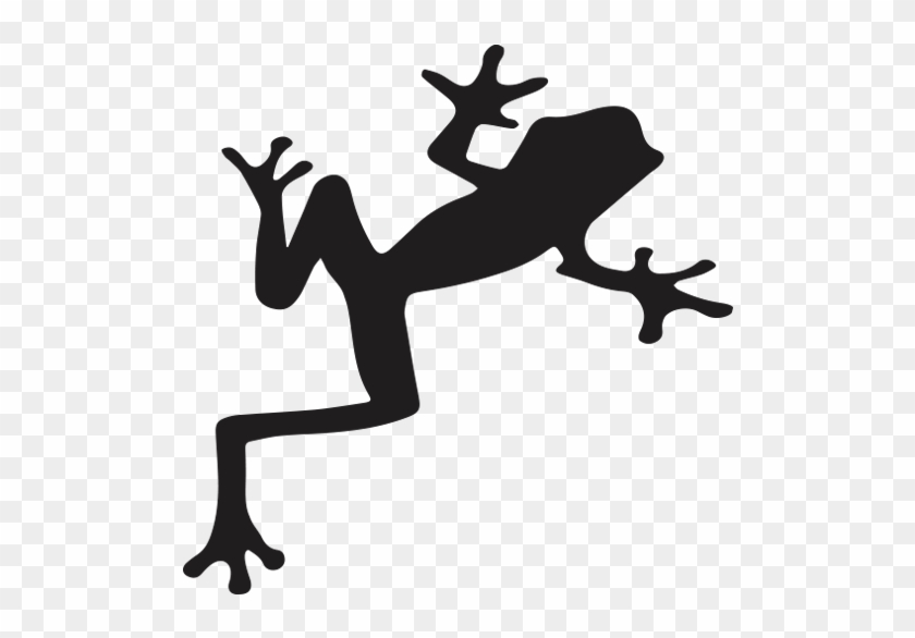 Frog - - Frog - #1583192