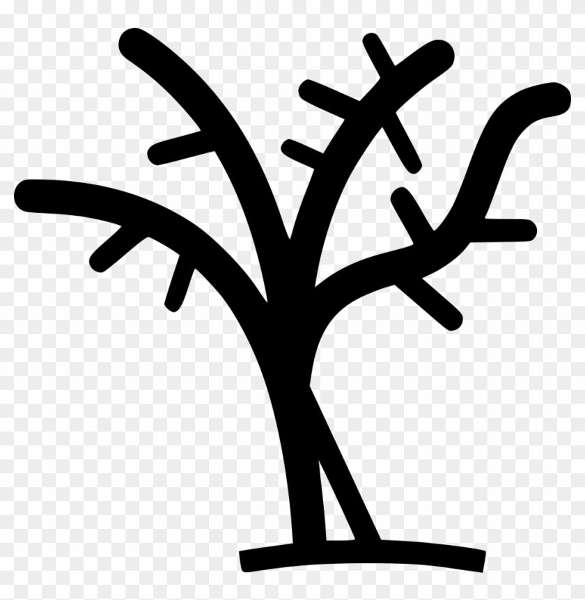 Tree With No Leaves Comments - Tree With No Leaves Comments #1583208