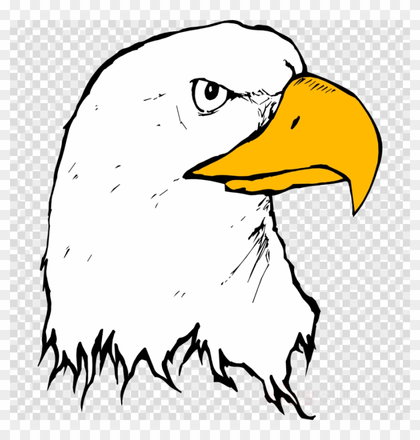 Eagle Beak Clipart Bald Eagle Clip Art - Eagle Beak Clipart Bald Eagle Clip Art #1583714