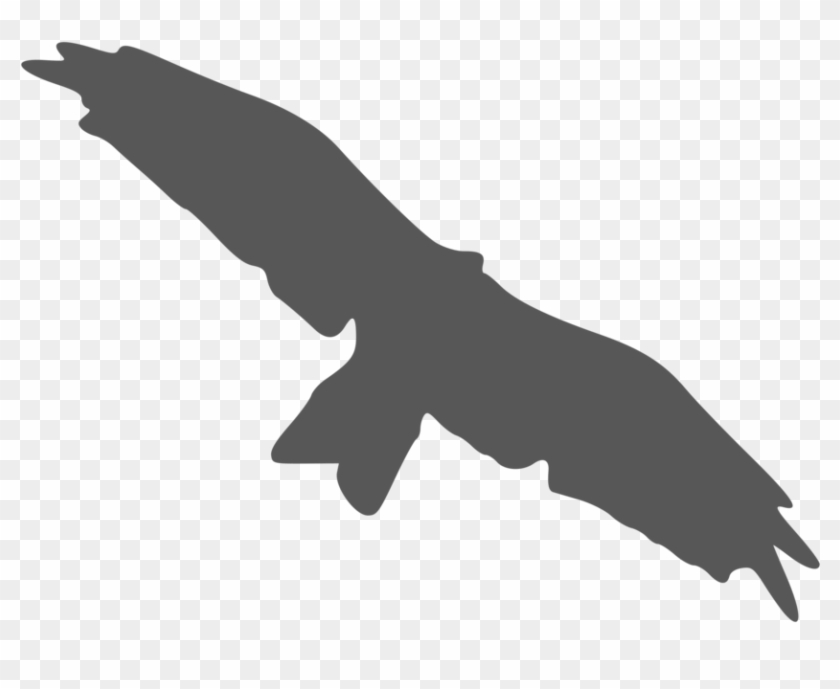 Bird Beak Silhouette Black And White Flight - Bird Beak Silhouette Black And White Flight #1583715