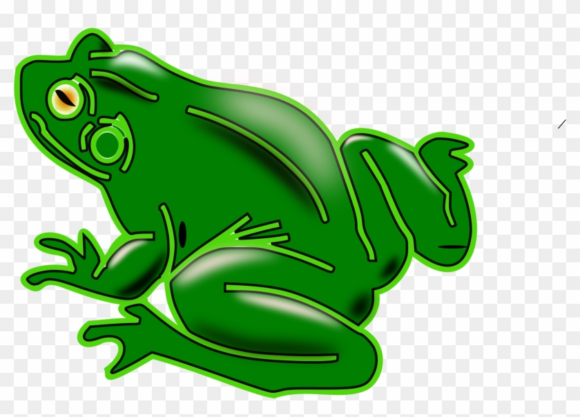 Pond Frogs Amphibian Vertebrate American Green Tree - Pond Frogs Amphibian Vertebrate American Green Tree #1583717