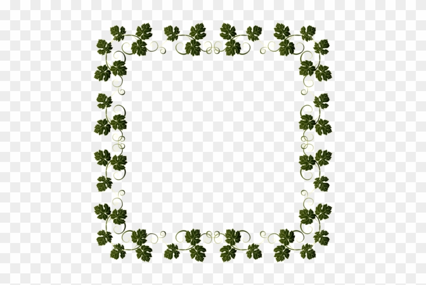 Free Png Download Vine Border Frame Clipart Png Photo - Free Png Download Vine Border Frame Clipart Png Photo #1584025