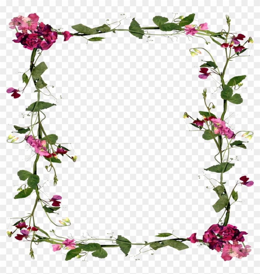 Mq Flowers Vines Border Frame Frames - Mq Flowers Vines Border Frame Frames #1584026