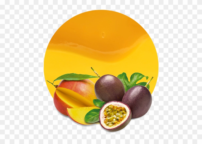 Fruits Clipart Tropical Fruit - Fruits Clipart Tropical Fruit #1584162