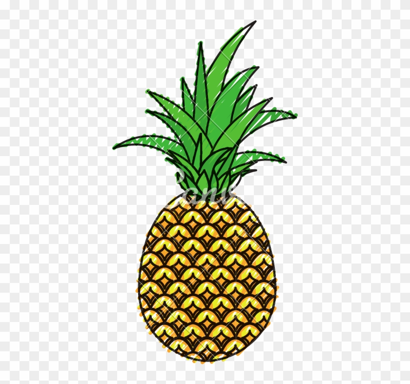 Pineapple Tropical Fruit - Pineapple Tropical Fruit #1584165