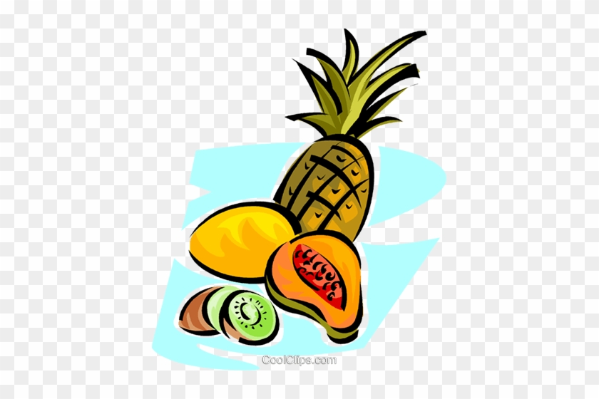 Fruit Vector Clipart - Fruit Vector Clipart #1584194