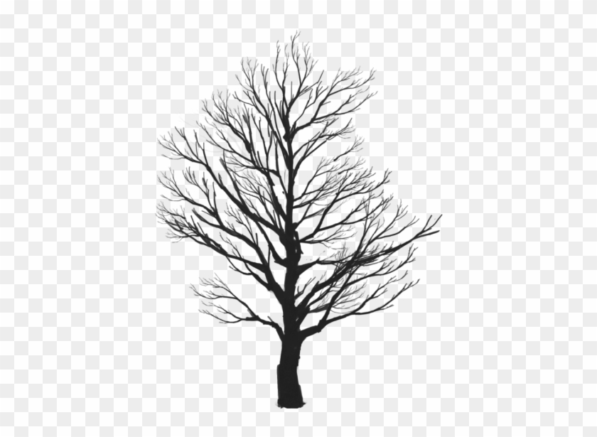 Tree Vector Clipart, Tree Clipart, Tree Png Vector - Tree Vector Clipart, Tree Clipart, Tree Png Vector #1584337