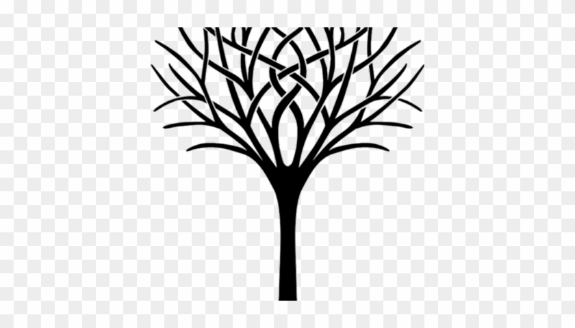 Team Tree Fitness - Team Tree Fitness #1584342