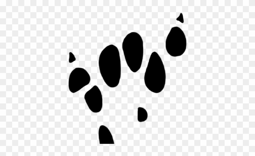 Footprint Clipart Rat - Footprint Clipart Rat #1584369
