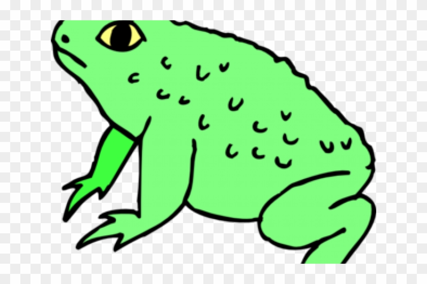 13 Green Frog Clipart Katak Free Clip Art Stock Illustrations - 13 Green Frog Clipart Katak Free Clip Art Stock Illustrations #1584903