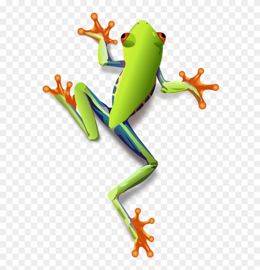 Clip Art Black And White Download Animals F Frogs Png - Clip Art Black And White Download Animals F Frogs Png #1584904