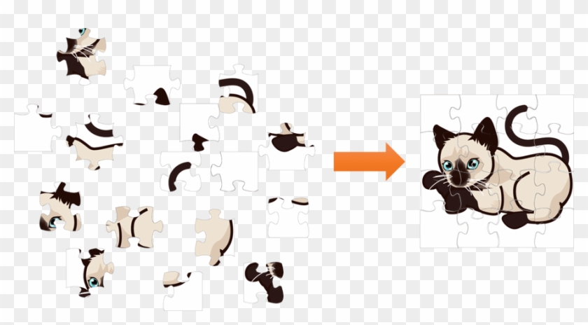 Cat-haplo#assembly - Cat-haplo#assembly #1585440