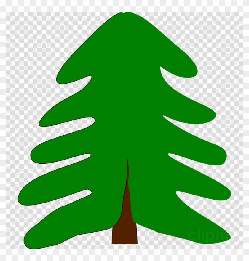 Pine Tree Cartoon Clipart Pine Clip Art - Pine Tree Cartoon Clipart Pine Clip Art #1585524