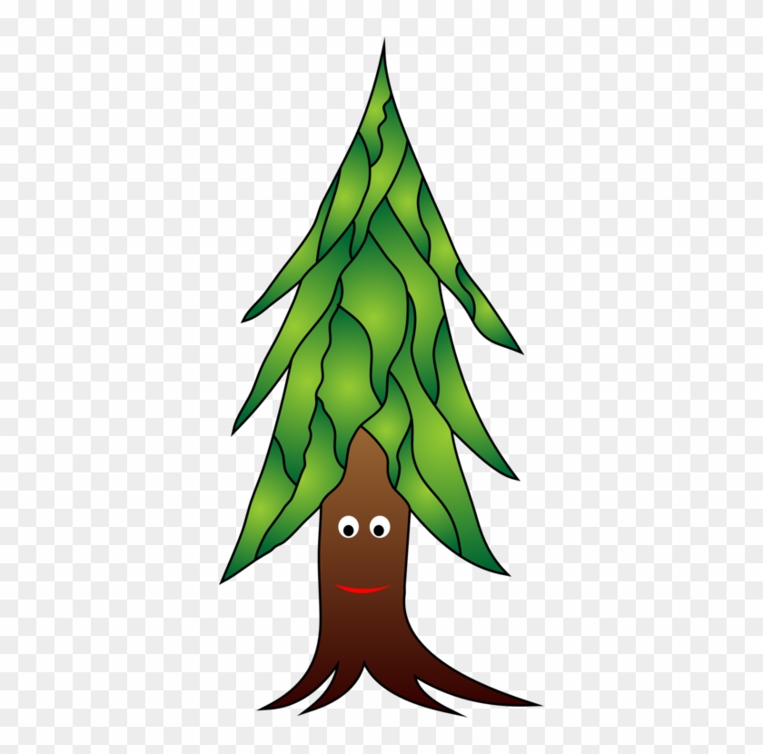 Christmas Tree Spruce Fir Christmas Ornament - Christmas Tree Spruce Fir Christmas Ornament #1585529