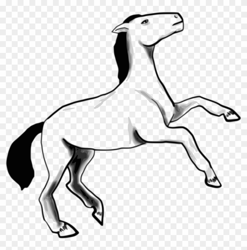 Public Domain Photographs And Textures Pictures Are - Public Domain Photographs And Textures Pictures Are #1585584