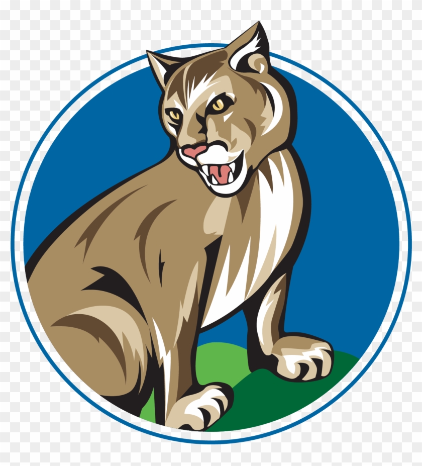 Download Monty Mascot Graphic Jpg, Png, - Download Monty Mascot Graphic Jpg, Png, #1585615