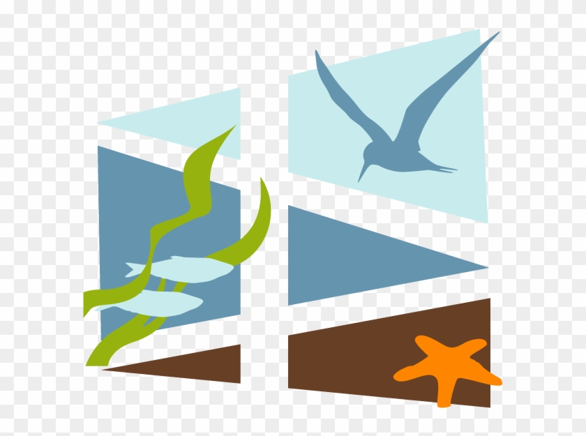 Northwest Straits - Northwest Straits #1585852