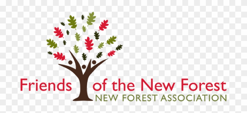 Friends Of The New Forest - Friends Of The New Forest #1585912