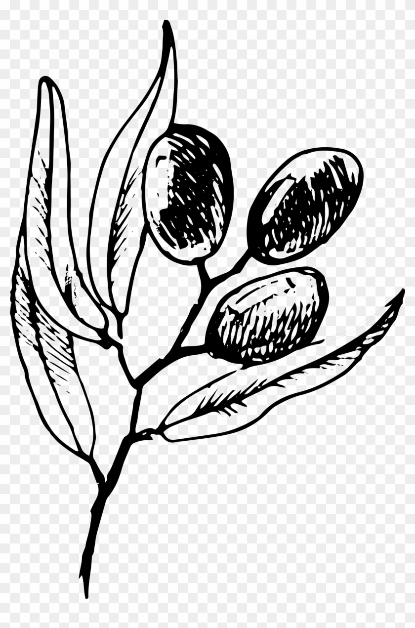 Real Nutrition By Kristin - Real Nutrition By Kristin #1586156