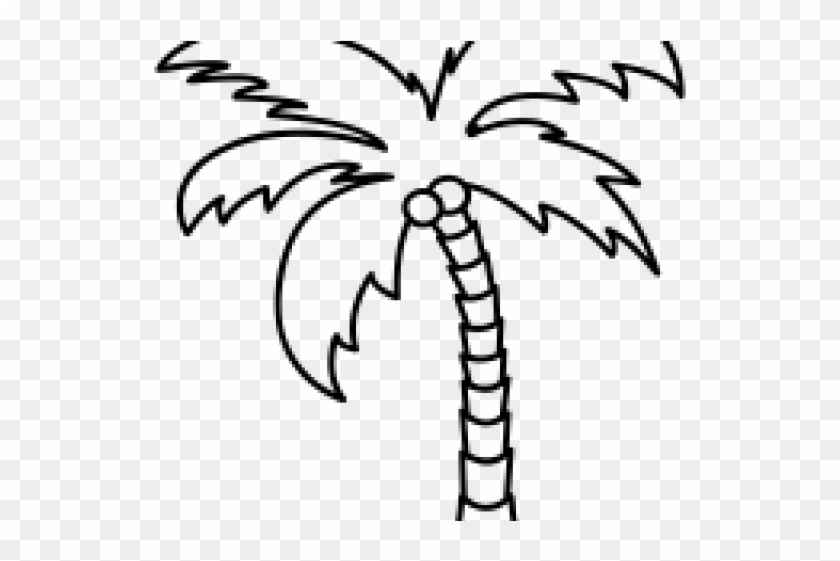 Drawn Palm Tree Line - Drawn Palm Tree Line #1586167