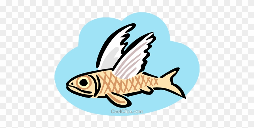 Flying Fish Royalty Free Vector Clip Art Illustration - Flying Fish Royalty Free Vector Clip Art Illustration #1586321