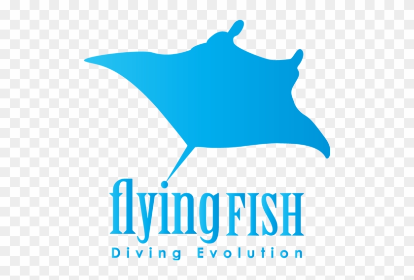 Flying Fish Diving - Flying Fish Diving #1586339
