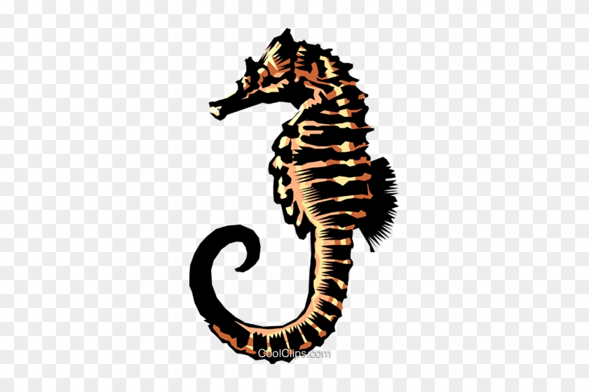 Sea Horse Royalty Free Vector Clip Art Illustration - Sea Horse Royalty Free Vector Clip Art Illustration #1586564