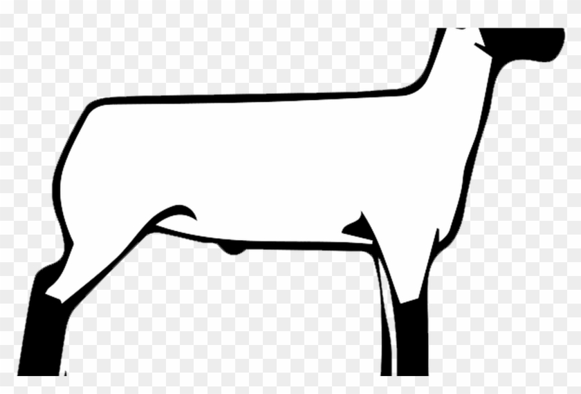 Free Show Lamb Clip Art Sheep Graphics Clublamb Images - Free Show Lamb Clip Art Sheep Graphics Clublamb Images #1586642