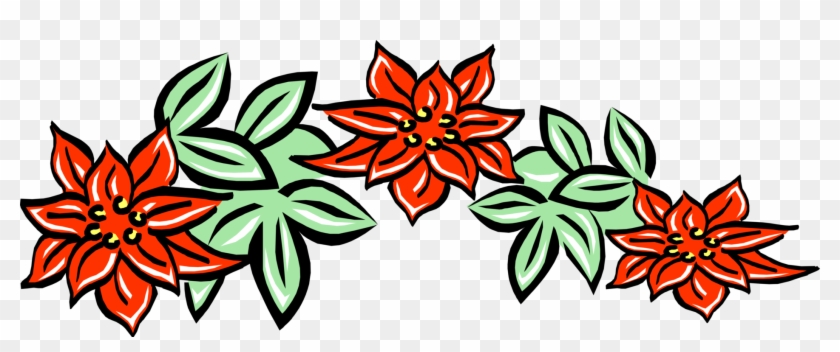 Vector Illustration Of Poinsettia Traditional Christmas - Vector Illustration Of Poinsettia Traditional Christmas #1586692