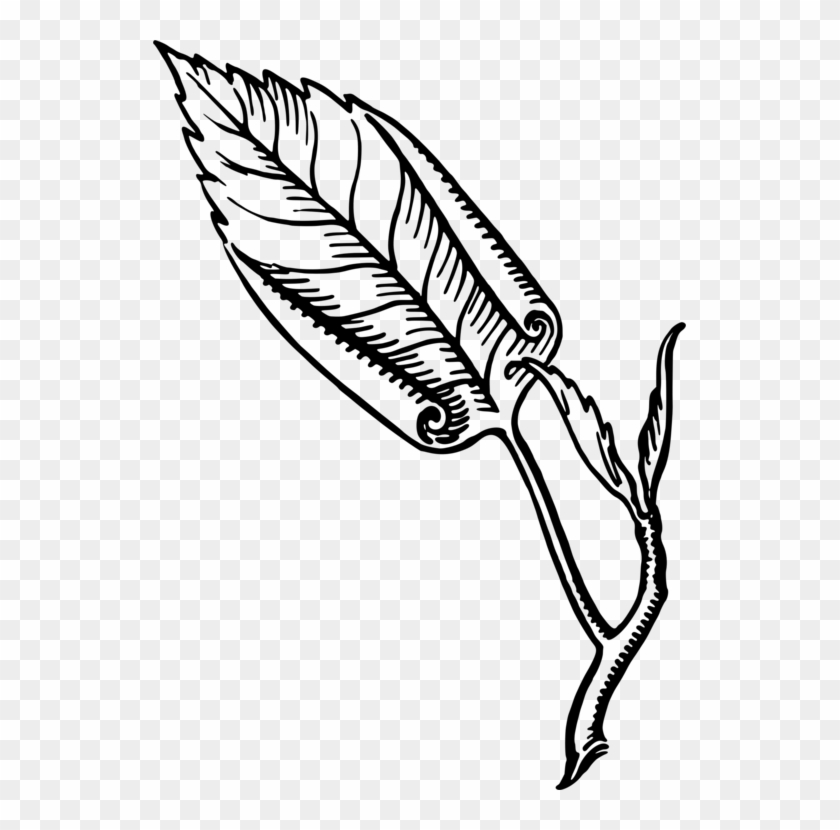 All Photo Png Clipart - All Photo Png Clipart #1586934