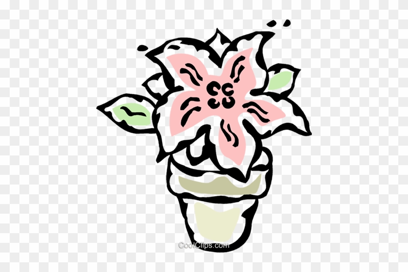 Poinsettia Royalty Free Vector Clip Art Illustration - Poinsettia Royalty Free Vector Clip Art Illustration #1587312