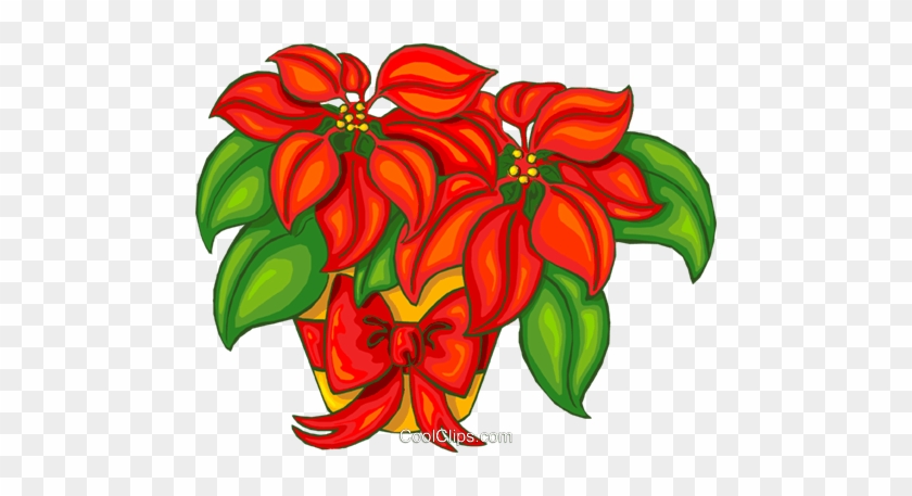 Poinsettia Royalty Free Vector Clip Art Illustration - Poinsettia Royalty Free Vector Clip Art Illustration #1587315