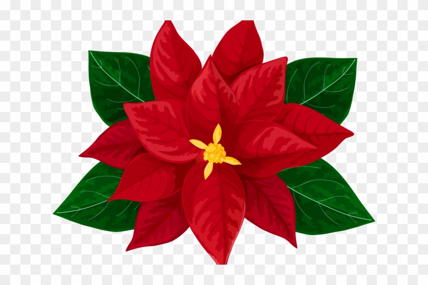 Poinsettia Clipart Transparent Background - Poinsettia Clipart Transparent Background #1587645