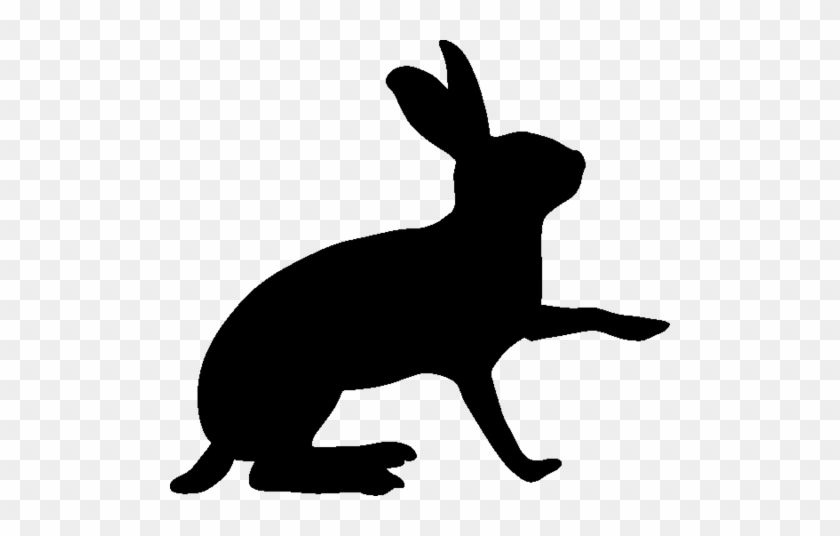 Seth Raphael - Seth Raphael #1587789