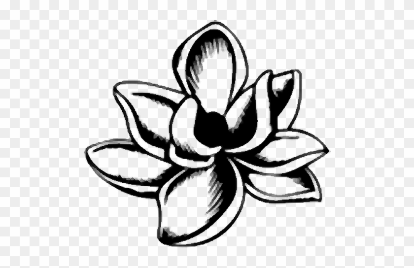 Magnolia Png - Magnolia Png #1587833