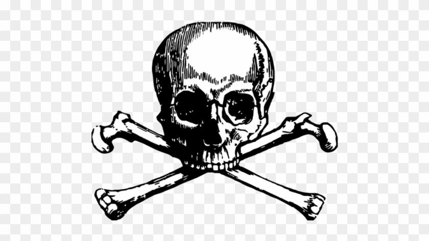 Cross Bones Pirates Skull गदन Idea  गदन फट  yorgo36  फट शयर  छवय