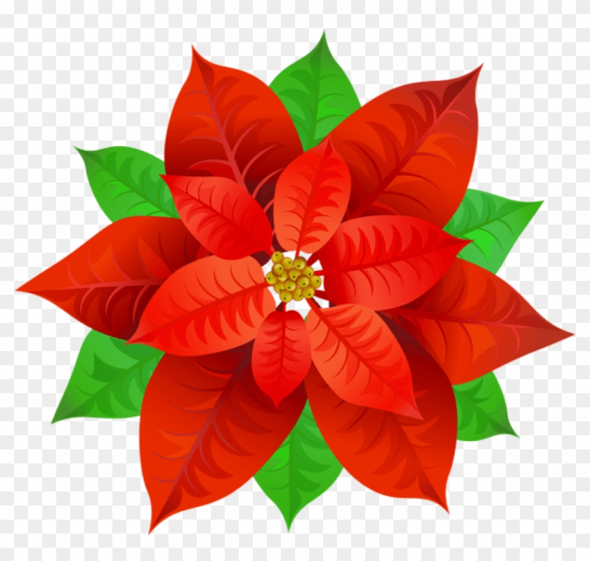 Free Png Poinsettia Png - Free Png Poinsettia Png #1588112