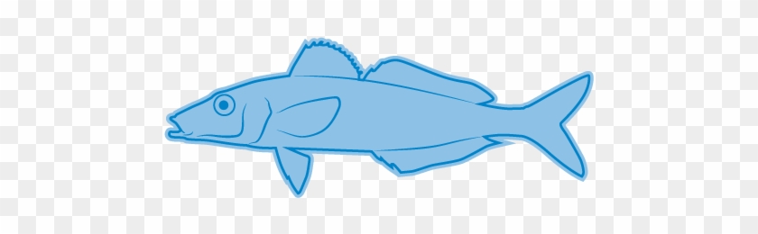 Southern School Whiting - Southern School Whiting #1588158