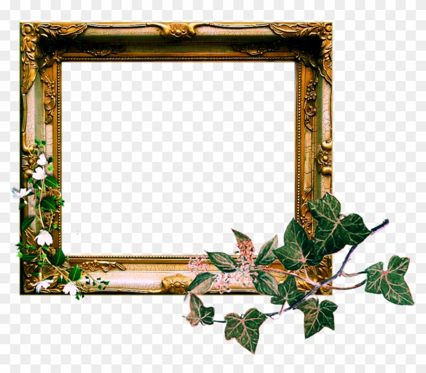 Vintage Ornate Frame Png By Sophia-t - Vintage Ornate Frame Png By Sophia-t #1588329