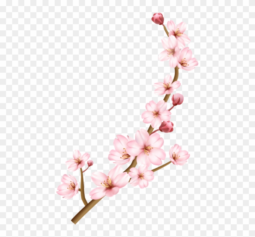 Download Spring Branch Transparent Png Images Background - Download Spring Branch Transparent Png Images Background #1588516