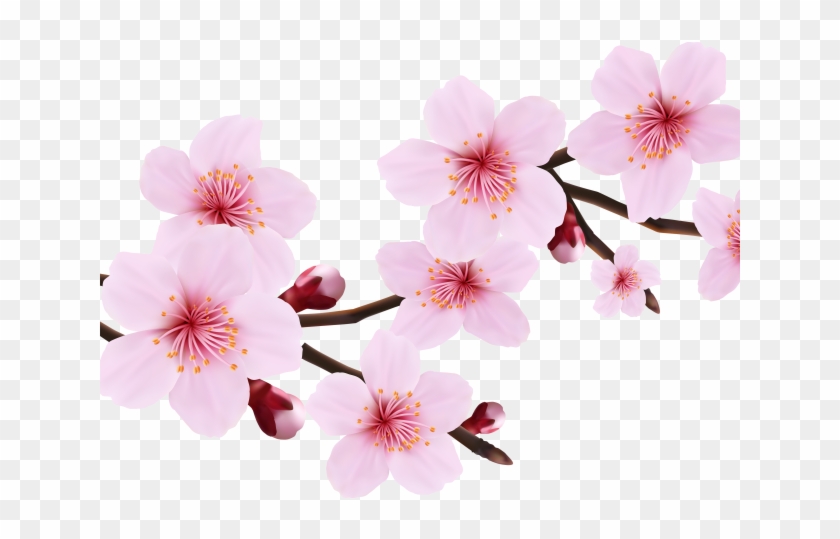 Cherry Blossom Clipart File - Cherry Blossom Clipart File #1588522
