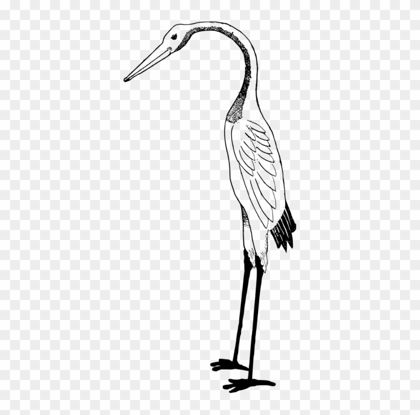 White Stork Bird Crane Computer Icons - Gambar Burung Bangau Kartun #1588756
